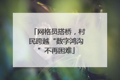 网格员搭桥，村民跨越“数字鸿沟”不再困难