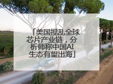 美国搅乱全球芯片产业链，分析师称中国AI生态有望出海