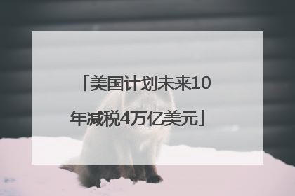 美国计划未来10年减税4万亿美元
