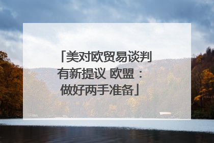 美对欧贸易谈判有新提议 欧盟：做好两手准备
