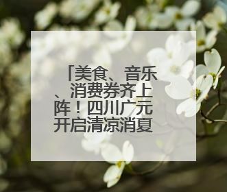 美食、音乐、消费券齐上阵！四川广元开启清凉消夏新体验