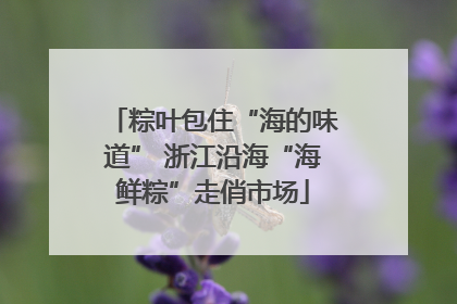粽叶包住“海的味道” 浙江沿海“海鲜粽”走俏市场