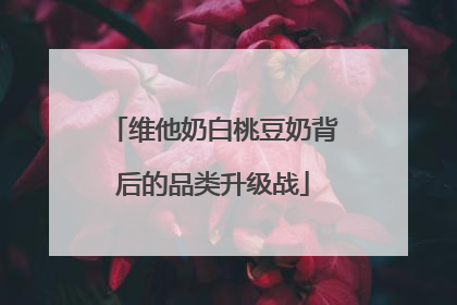 维他奶白桃豆奶背后的品类升级战