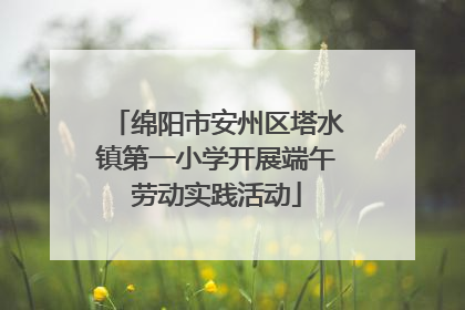 绵阳市安州区塔水镇第一小学开展端午劳动实践活动