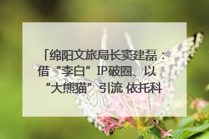 绵阳文旅局长窦建磊：借“李白”IP破圈、以“大熊猫”引流 依托科技优势绽放城市文旅魅力｜文旅局长说