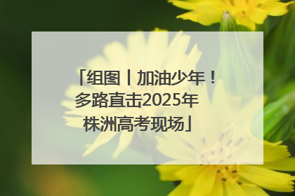 组图丨加油少年！多路直击2025年株洲高考现场