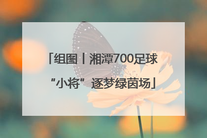 组图丨湘潭700足球“小将”逐梦绿茵场