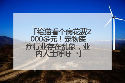 给猫看个病花费2000多元！宠物医疗行业存在乱象，业内人士呼吁→