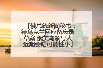 俄总统新闻秘书：待乌克兰回应备忘录草案 俄美乌领导人近期会晤可能性小
