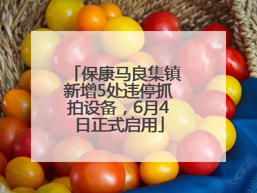保康马良集镇新增5处违停抓拍设备，6月4日正式启用