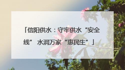信阳供水：守牢供水“安全线” 水润万家“惠民生”