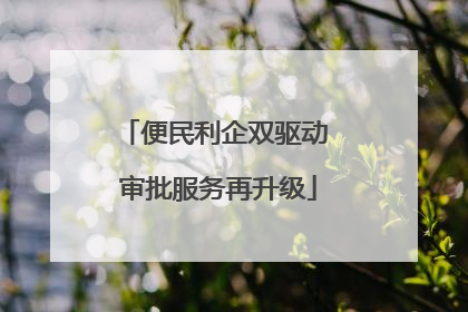 便民利企双驱动 审批服务再升级