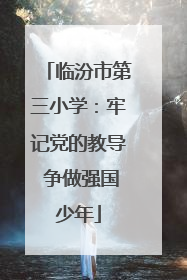 临汾市第三小学：牢记党的教导 争做强国少年