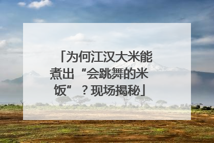 为何江汉大米能煮出“会跳舞的米饭”？现场揭秘