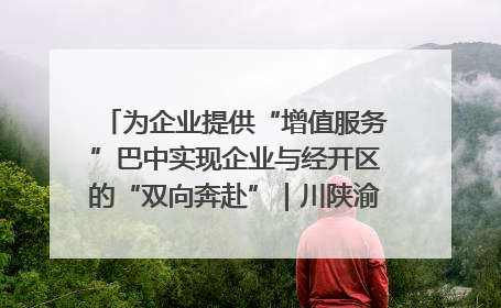 为企业提供“增值服务”巴中实现企业与经开区的“双向奔赴”｜川陕渝网络名人巴中行