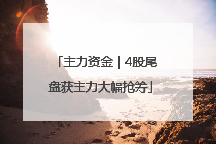 主力资金｜4股尾盘获主力大幅抢筹