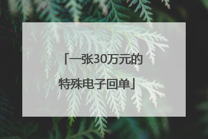 一张30万元的特殊电子回单