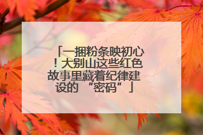 一捆粉条映初心！大别山这些红色故事里藏着纪律建设的 “密码”