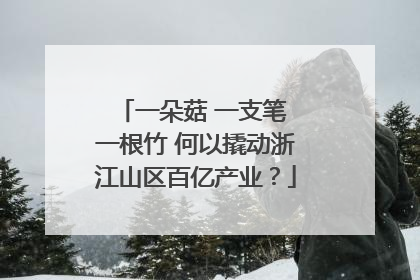 一朵菇 一支笔 一根竹 何以撬动浙江山区百亿产业？