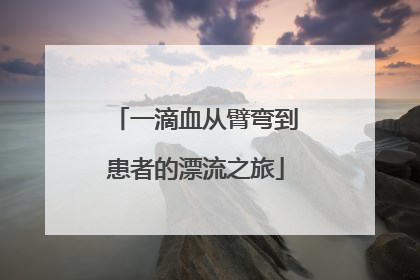 一滴血从臂弯到患者的漂流之旅