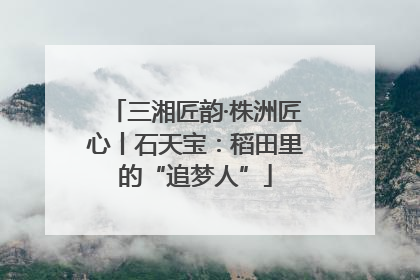 三湘匠韵·株洲匠心丨石天宝：稻田里的“追梦人”
