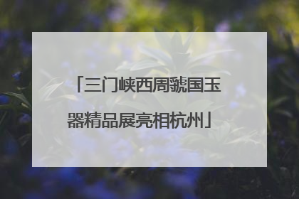 三门峡西周虢国玉器精品展亮相杭州