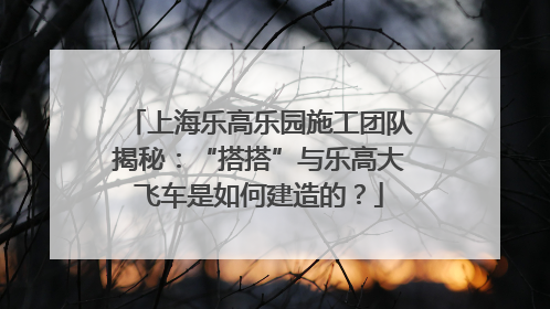 上海乐高乐园施工团队揭秘：“搭搭”与乐高大飞车是如何建造的？