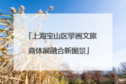 上海宝山区擘画文旅商体展融合新图景