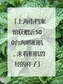 上海市档案馆获赠近500台海鸥相机，来看相机曾经的样子