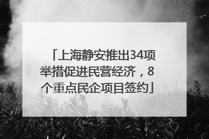 上海静安推出34项举措促进民营经济，8个重点民企项目签约