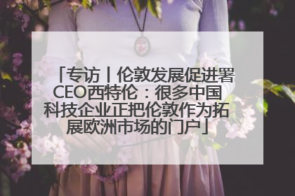 专访丨伦敦发展促进署CEO西特伦：很多中国科技企业正把伦敦作为拓展欧洲市场的门户