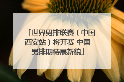 世界男排联赛（中国西安站）将开赛 中国男排期待展新貌