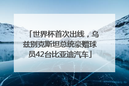 世界杯首次出线，乌兹别克斯坦总统豪赠球员42台比亚迪汽车