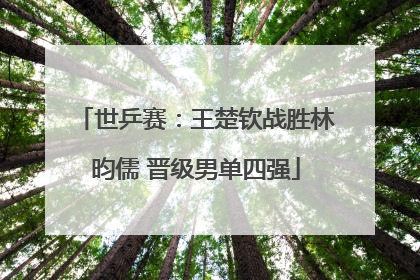 世乒赛：王楚钦战胜林昀儒 晋级男单四强