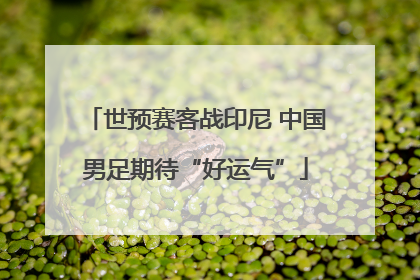 世预赛客战印尼 中国男足期待“好运气”