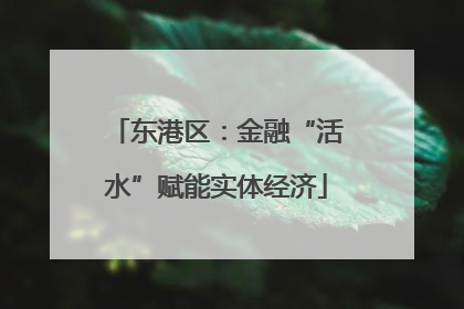 东港区：金融“活水”赋能实体经济