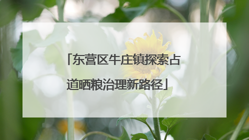 东营区牛庄镇探索占道晒粮治理新路径