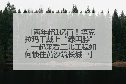 两年超1亿亩！塔克拉玛干戴上“绿围脖”，一起来看三北工程如何锁住黄沙筑长城→