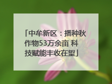 中牟新区：播种秋作物53万余亩 科技赋能丰收在望