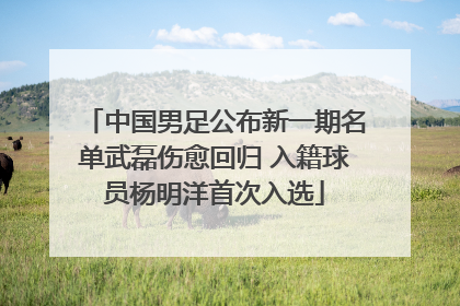 中国男足公布新一期名单武磊伤愈回归 入籍球员杨明洋首次入选