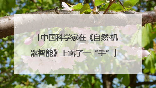 中国科学家在《自然·机器智能》上露了一“手”
