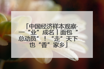 中国经济样本观察·一“业”成名丨面包“总动员”！“走”天下也“香”家乡