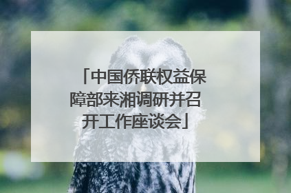 中国侨联权益保障部来湘调研并召开工作座谈会