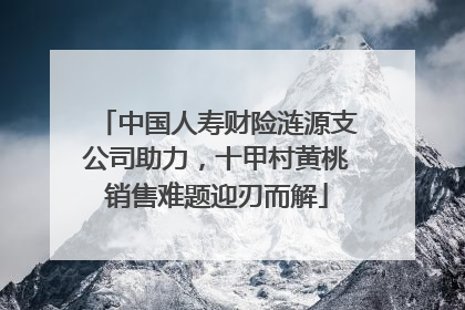 中国人寿财险涟源支公司助力，十甲村黄桃销售难题迎刃而解