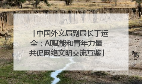 中国外文局副局长于运全：AI赋能和青年力量共促网络文明交流互鉴