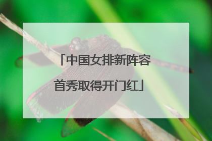中国女排新阵容首秀取得开门红