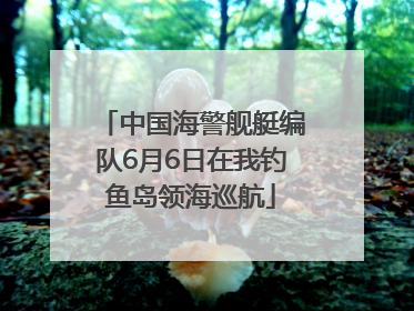 中国海警舰艇编队6月6日在我钓鱼岛领海巡航