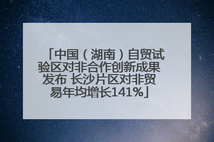 中国（湖南）自贸试验区对非合作创新成果发布 长沙片区对非贸易年均增长141%