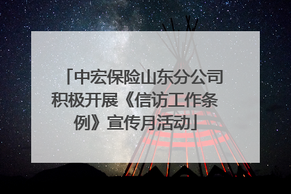 中宏保险山东分公司积极开展《信访工作条例》宣传月活动