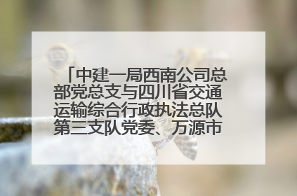 中建一局西南公司总部党总支与四川省交通运输综合行政执法总队第三支队党委、万源市草坝镇莲花院村党支部开展党建联建